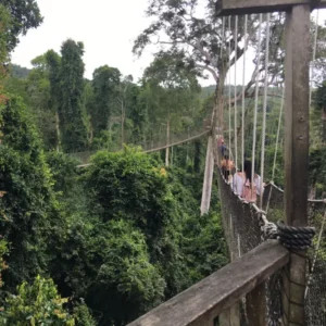 Kakum Canopy Walk